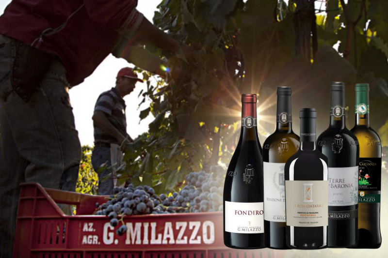 Эксклюзивное вино для Сырного вечера!