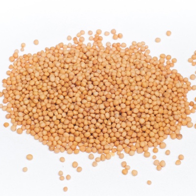 Горчичное семя желтое (фасованное) 80 г