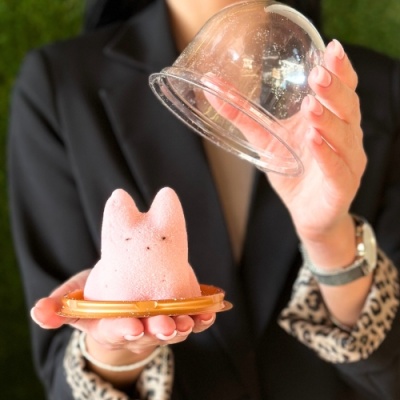 Зефир жевательный "Котик бабл гам" 90 г